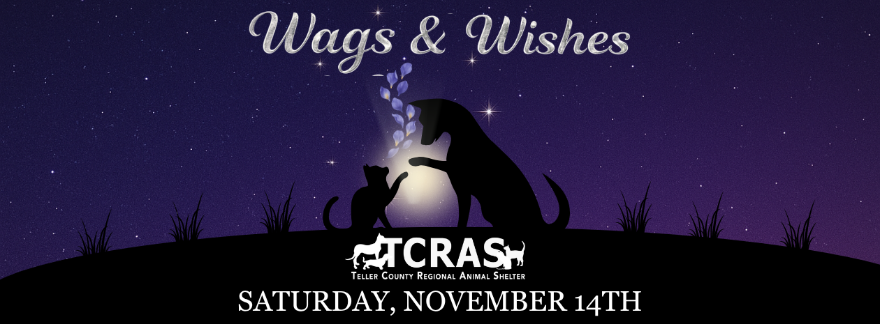 Wags and Wishes 2026